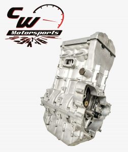 RZR 900 XP ENGINE