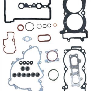 900/1000 Complete Gasket Kit