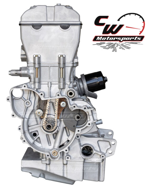 CW Remanufactured 925cc Turbocharged Engine, Polaris RZR Pro XP