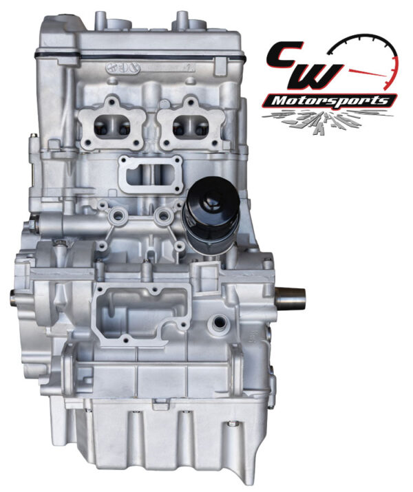 CW Remanufactured 925cc Turbocharged Engine, Polaris RZR Pro S