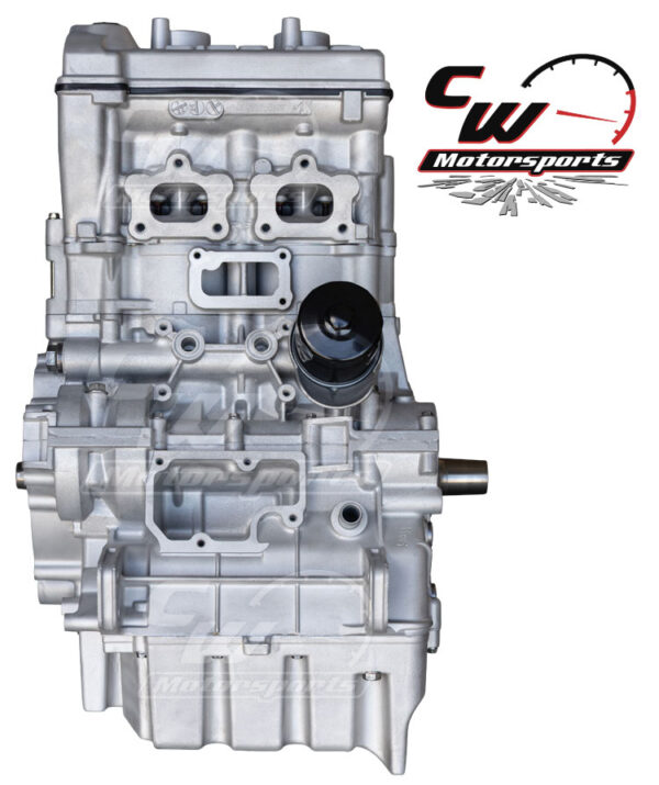 CW Remanufactured 925cc Turbocharged Engine, Polaris RZR Pro S