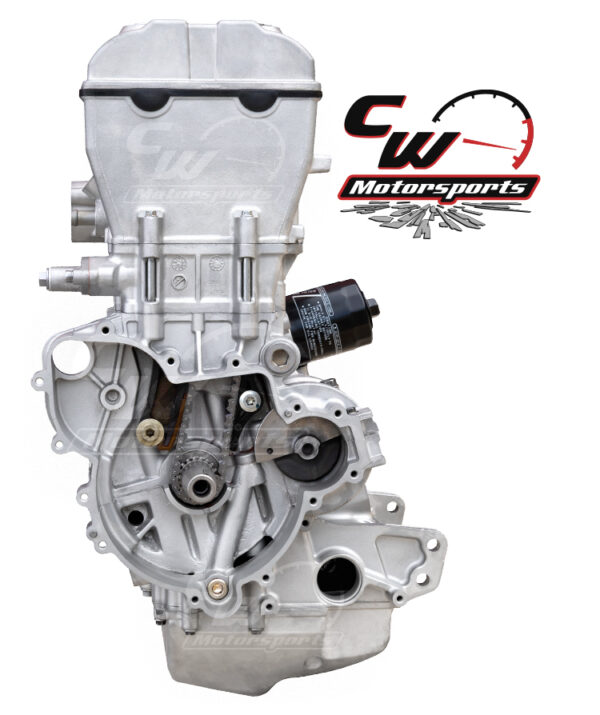 CW Remanufactured 900 Engine, Polaris RZR S/RZR Trail S/Ranger/ACE