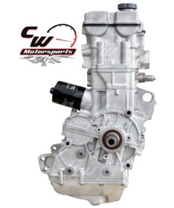 CW Remanufactured 900 Engine, Polaris RZR S/RZR Trail S/Ranger/ACE - CW ...