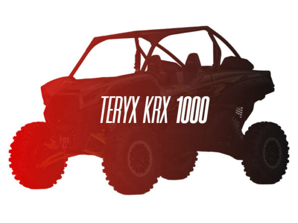 CW Remanufactured Engine, Kawasaki Teryx KRX 1000