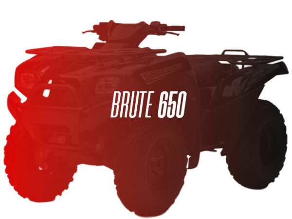 CW Remanufactured Engine, Kawasaki Brute/Prairie 650