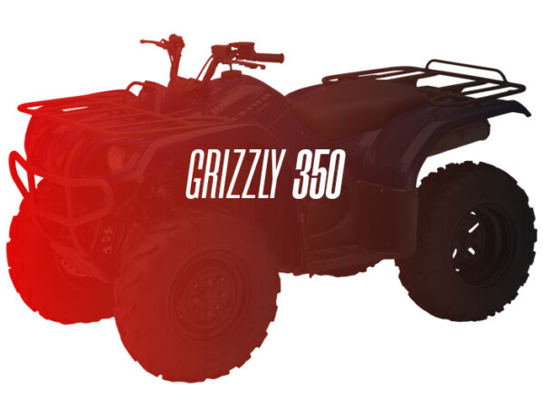 CW Remanufactured Engine, Yamaha Grizzly 350