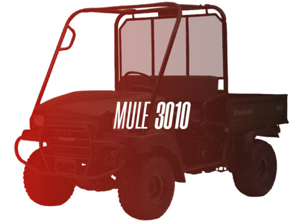 CW Remanufactured Engine, Kawasaki Mule 3010