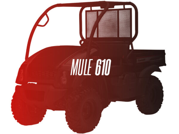 CW Remanufactured Engine, Kawasaki Mule 610