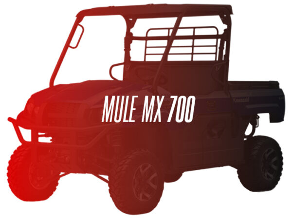CW Remanufactured Engine, Kawasaki Mule MX 700