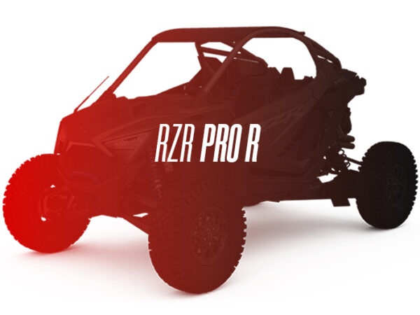 Polaris Remanufactured Rear Differential, RZR Pro R