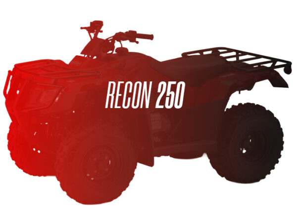 CW Remanufactured Engine, Honda Recon 250