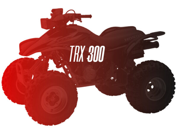 CW Remanufactured Engine, Honda Recon 250