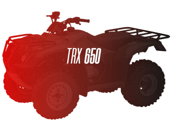 CW Remanufactured Engine, Honda TRX 650