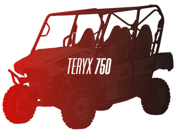 CW Remanufactured Engine, Kawasaki Teryx 750