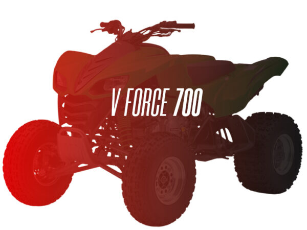 CW Remanufactured Engine, Kawasaki Vforce 700