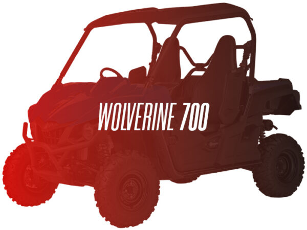 CW Remanufactured Engine, Yamaha Wolverine 700