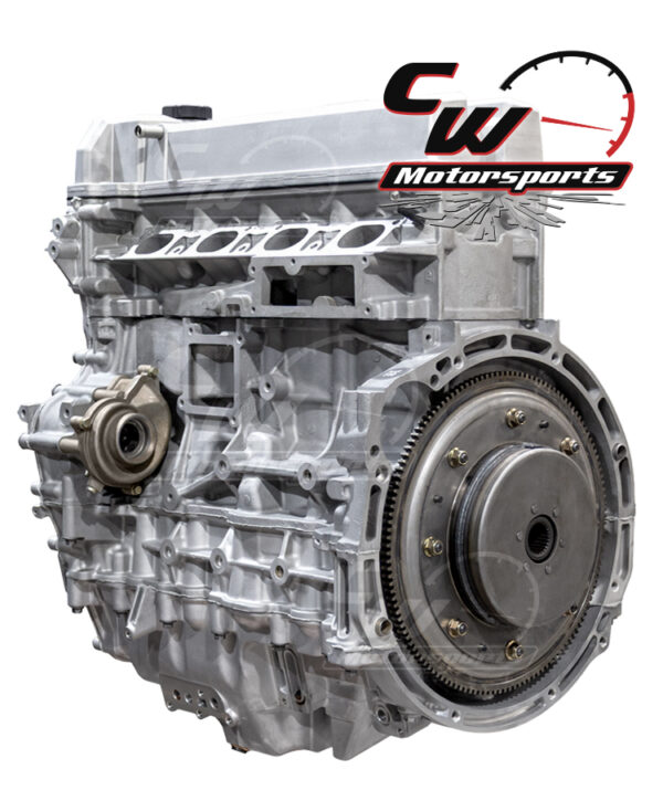 CW Remanufactured Engine, Polaris RZR Pro R