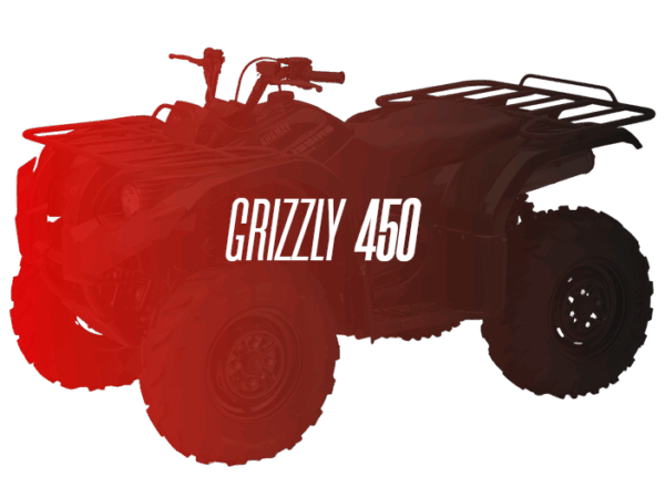 CW Remanufactured Engine, Yamaha Grizzly 450