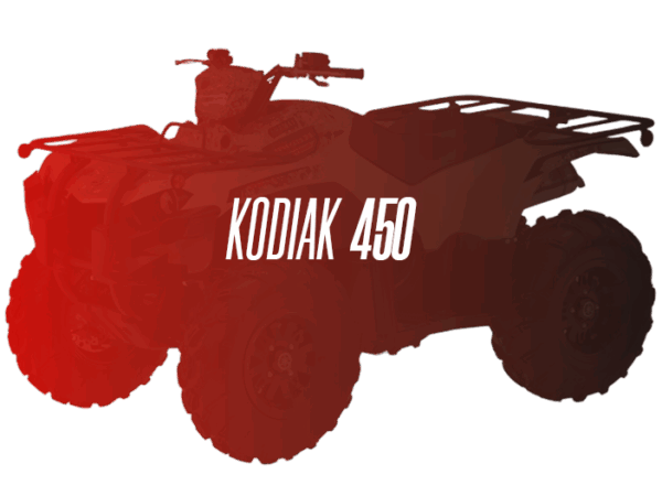 CW Remanufactured Engine, Yamaha Kodiak 450