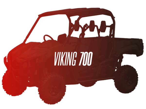 CW Remanufactured Engine, Yamaha Viking 700